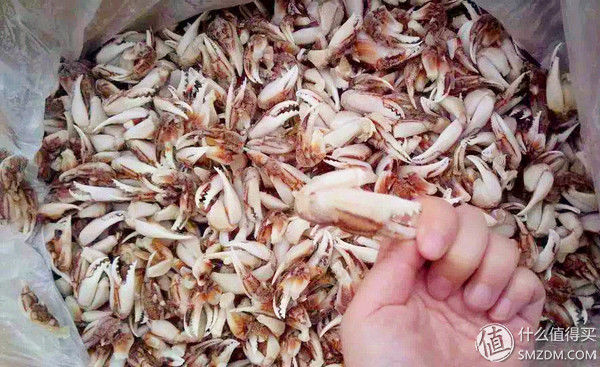 任你天花乱坠，简单一试，我就知道这大闸蟹值不值得吃!