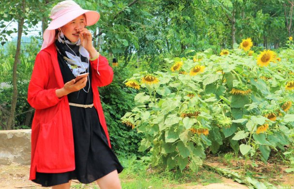  小伙|农村小伙放弃十万年薪，回乡种植十亩葡萄树，真能创业成功