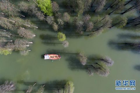  「临安」杭州临安：营造美丽水环境 打造生态好家园