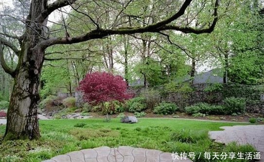 看完德国的富人区,再看中国的富人区,一个住富豪一个住土豪