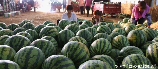  新房：40岁夫妻靠养蚕发家，花100万建养猪场，自己却舍不得盖新