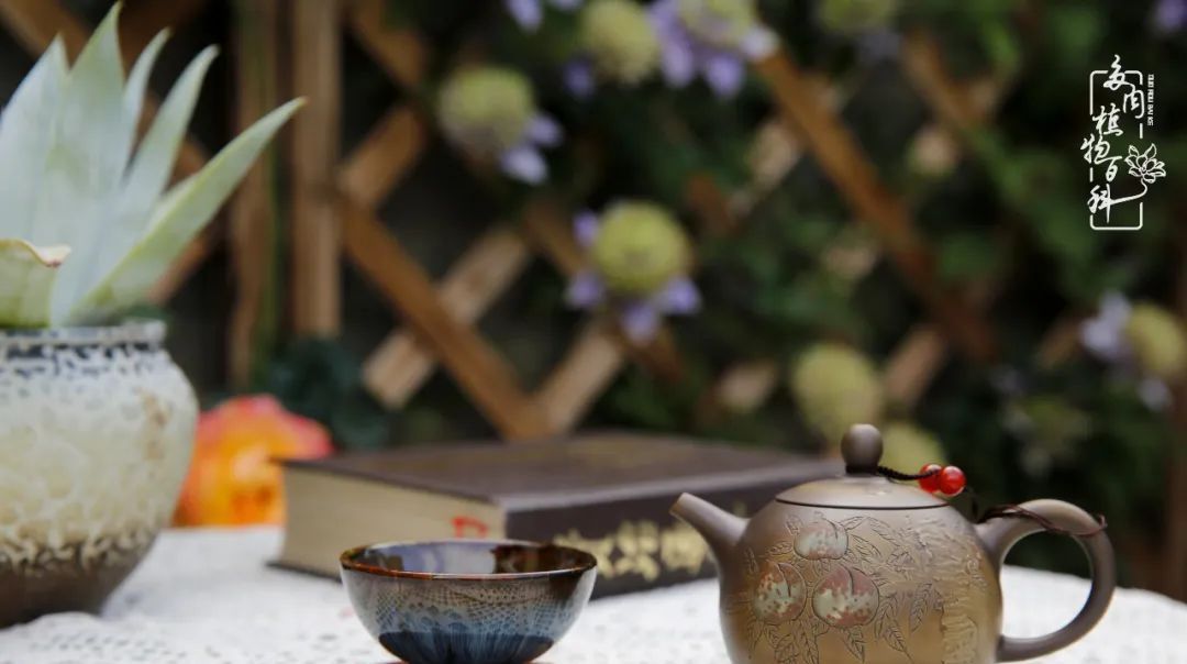  [庭院]一院一狗,三餐四季,慢下来的庭院生活才是好生活!