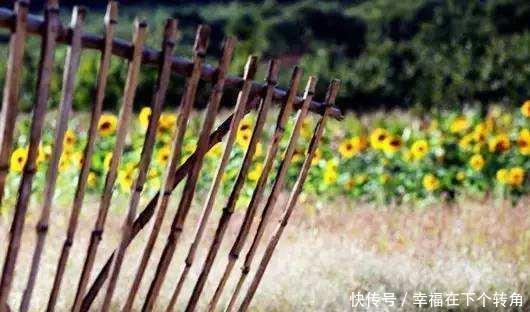  「快乐」篱笆小院住在乡村的快乐，你想体验吗！