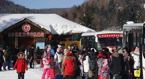 南方游客在雪乡买了两斤黑木耳,结账时坦言:你算错了吧?