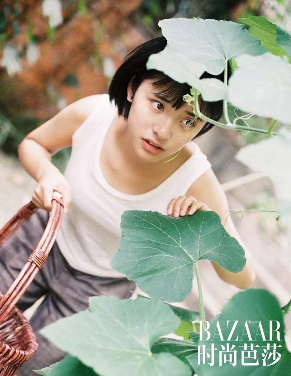 沈月又变身校园少女?这回杉菜不“绿茶”了!