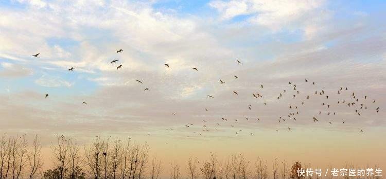 湖南省第二大淡水湖,面积达3840公顷,旅游资源堪比洞庭湖!