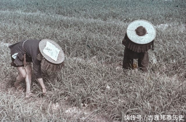  【九龙】60年代的香港九龙是什么样子堪比农村