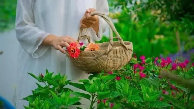  「精致」爱养花的女人，生活充满惊喜，家里处处都精致！