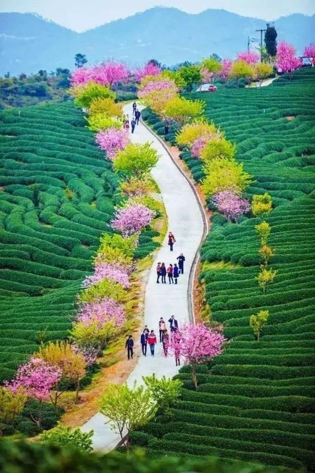 教育的温度：扶贫助学在路上