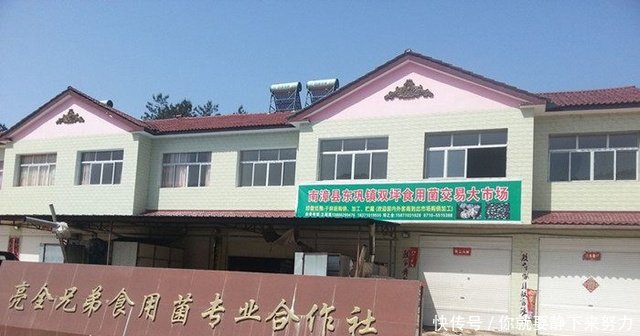 农村有了这个营生，年盈利几百万， 农民再也不要出去打工了