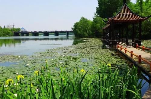  济南■继青岛和济南后，山东又一“黑马”城市将崛起，矿场资源