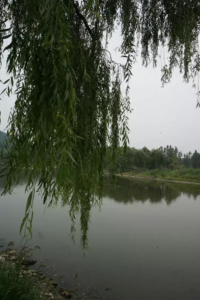 淄川磁村刘瓦水库看钓鱼_【快资讯】