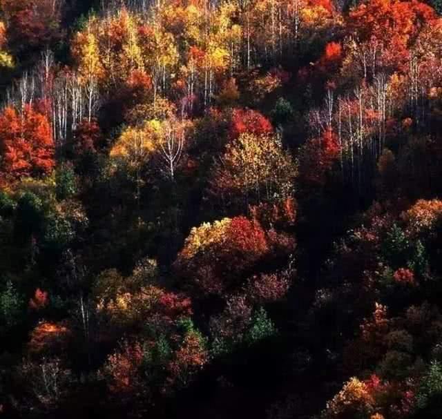 「叫板」四川敢叫板九寨沟和稻城亚丁的小城,美得惊人却很低调