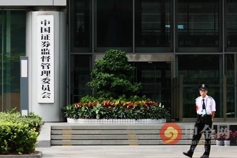  「分拆」延安必康遭证监会立案调查 分拆上市按下暂停键
