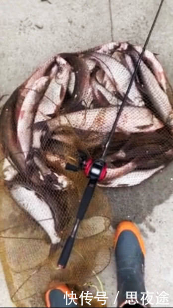 中国长江是否该禁钓鱼?禁渔期,仍有大量钓鱼人江边垂钓，鱼获惊人