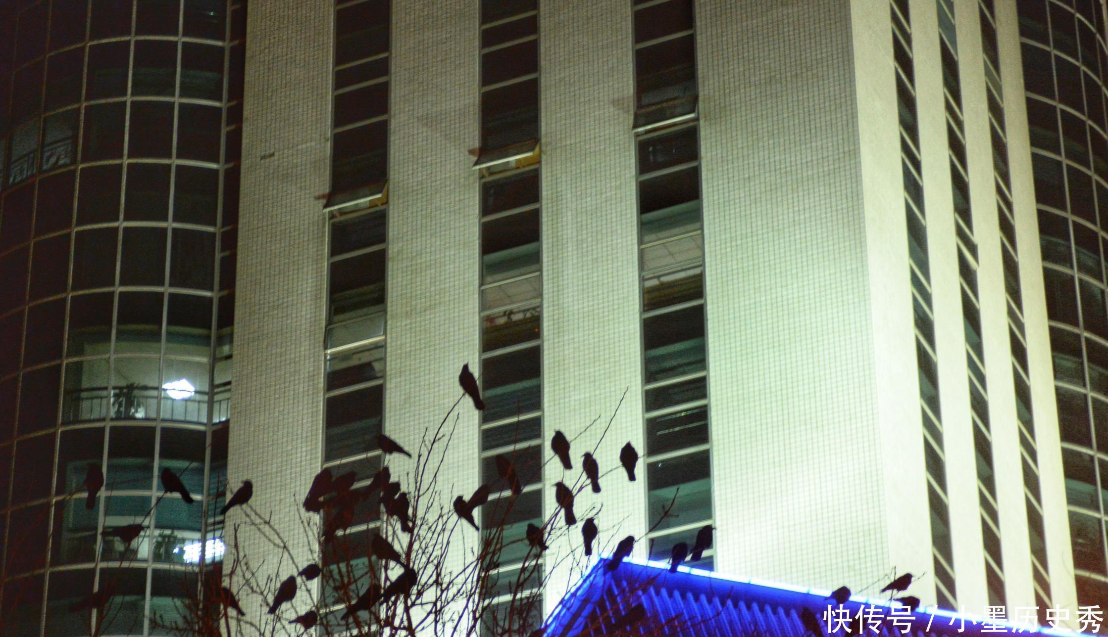 这里曾是清代公主墓地，现在是北京著名商业区，每到晚上乌鸦成群