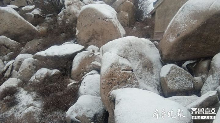 荐游丨青岛崂山迎初雪 宛如人间仙境