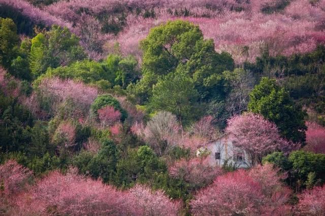 江苏最冷气温多少