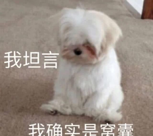  『丁凯乐』他们才是真正的养成系吧……