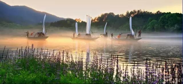 春天最适合一个人小住几日的安静古镇，累了就出去走走！