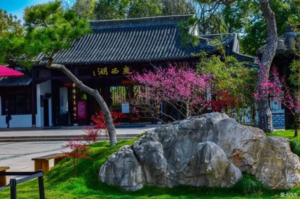 我本想去这个地方散散心,感受大好春光