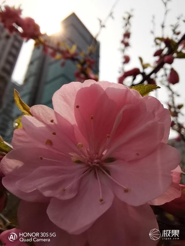  #功力#教科书级别的评测！原来荣耀30S的五颗摄像头功力如此深厚……