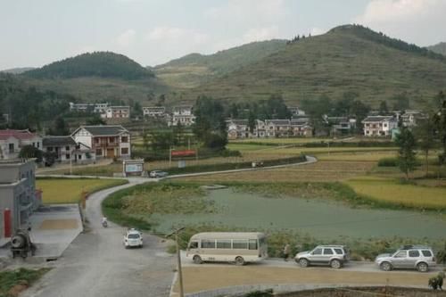 农村常见的2种美味野菜，农村人瞧不上城里人视为宝，为什么呢？