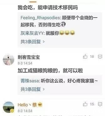 『钓到』我在美国钓鱼的日子,这里的鲤鱼虽然肥硕,但有股煤油味