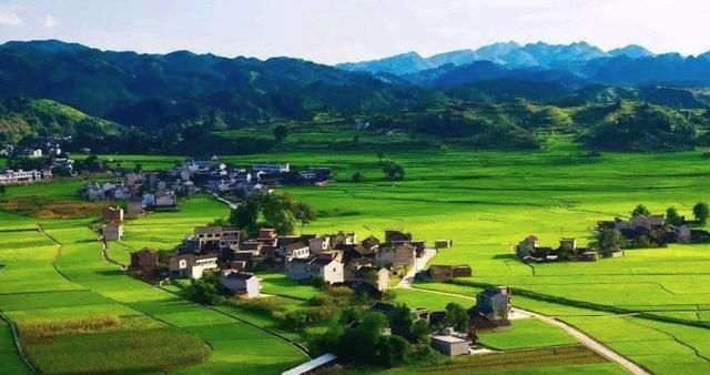  务工收入|未来5年农民增加收入的主要方法是什么？