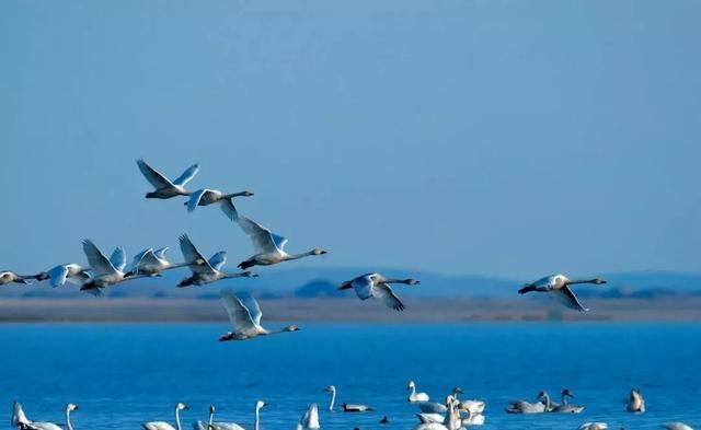  【发现】隐藏在CHI（赤）FENG（峰）里的秘密，你发现了吗？