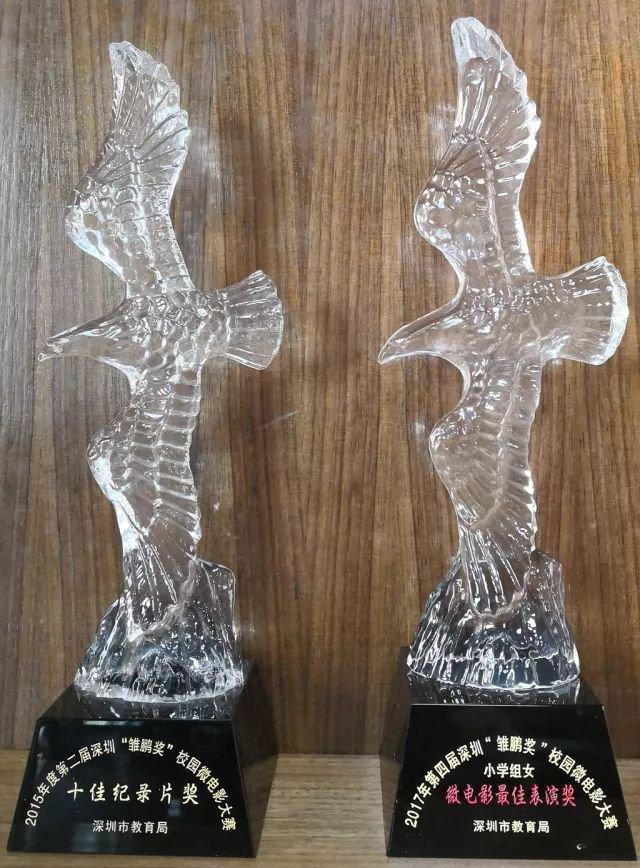 厉害了!盐田区外国语小学微电影作品获得全国