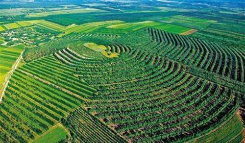 中国即将消失的沙漠：从草原变成沙漠再变成绿洲！美日：变戏法？