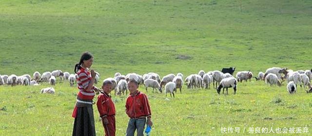 农民想致富可以考虑这几个项目, 有人已经赚疯了!