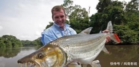 世界上支流最多的河,数量高达15000条,可以覆盖70%中国国土