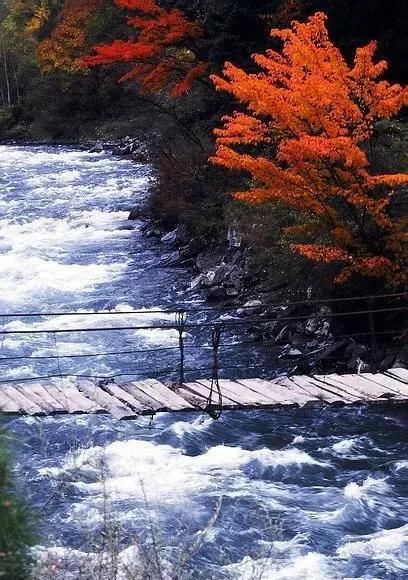 别老想着去日本拍红叶，中国这些地方的红叶也很好看