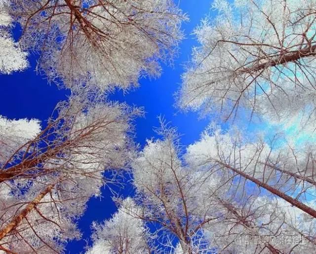 中华美景，太震撼了，向伟大的摄影师致敬！