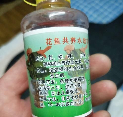  「花会」花期为什么不施肥呢？为什么花期施肥花会过早凋落？