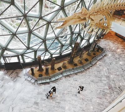  【开放】文化场馆 有序开放