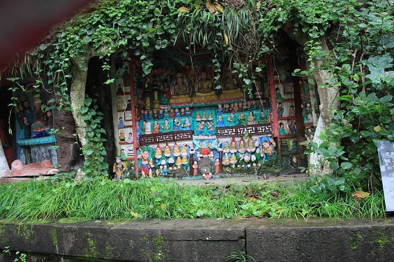 四川有棵千年古榕树，树根下藏着上千尊佛像，被工匠无意发现