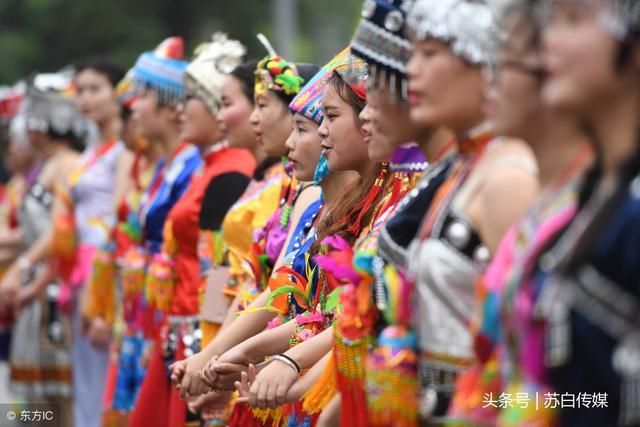广西这个城市得名难道是因为植物？发现了世界最早的某植物花粉