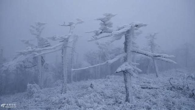  「微波站观鹿」我爱秦岭，过去现在未来