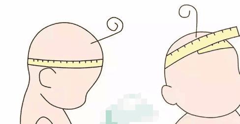 头越大越聪明? 通过头围看宝宝健康指标
