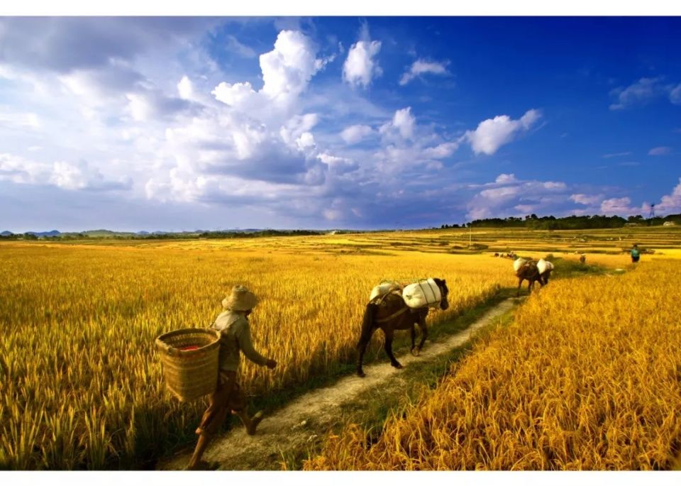 9月,贵州最美的风景竟然在这里,一生要去看一次~