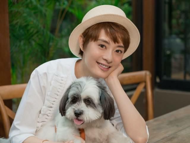 疫苗造假事件引众星怒斥，身为人母的孙俪却只关心流浪狗