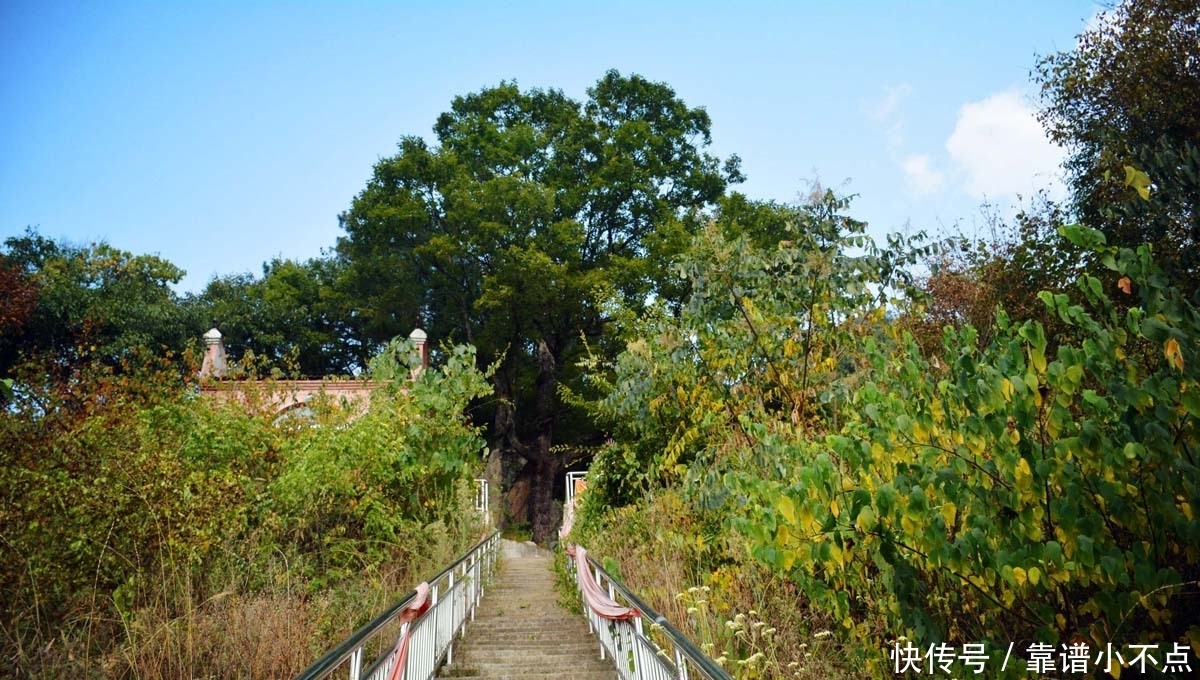 藏在深山里的神仙庙，悬崖陡坡“挂”千级石阶，看看啥样子