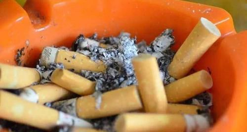  自制■在家自制杀虫剂，比外面买的有效多了