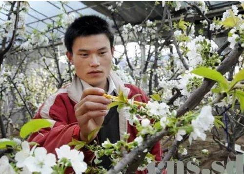 适合农村的创业点子，就看你敢不敢做