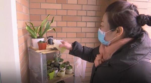  宿管：浇花草养乌龟晒被子 浙大宿管阿姨最近有点忙