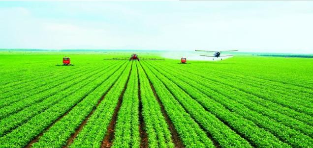  「补贴」农村粮补新变化，2类人提高补贴标准，4类人取消领取资