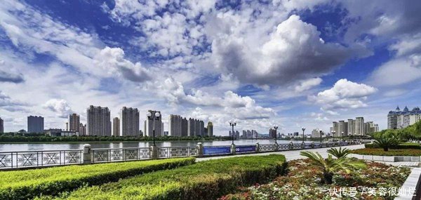 「扦插」大叶黄杨可以春季扦插吗怎样扦插黄杨成活率高!